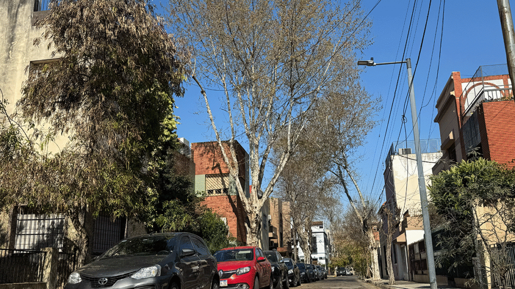 Un mapa interactivo muestra que Casitas Municipales es la zona de Flores con más plátanos y mayor riesgo de alergia.