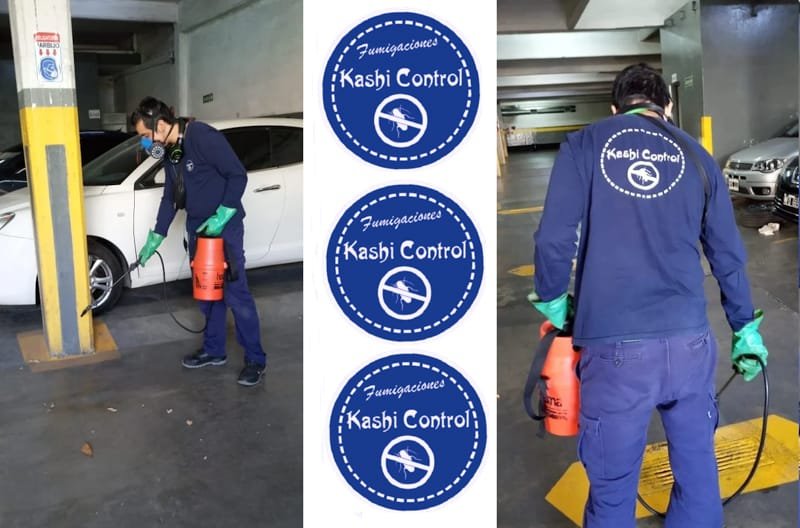 Expertos en control de plagas, desratización y limpieza de tanques de agua. Más de 10 años de experiencia con certificado municipal del GCBA. Consultanos.