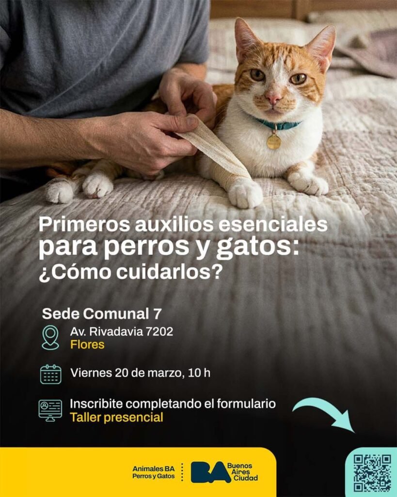 Mascotas de la Ciudad dicta un taller gratuito de primeros auxilios para perros y gatos en la Sede Comunal 7 de Flores. Inscribite y aprendé a actuar ante emergencias.