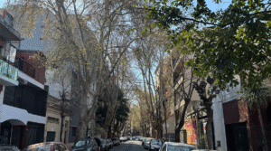 Casitas Municipales, la zona de Flores con más plátanos según un mapa interactivo