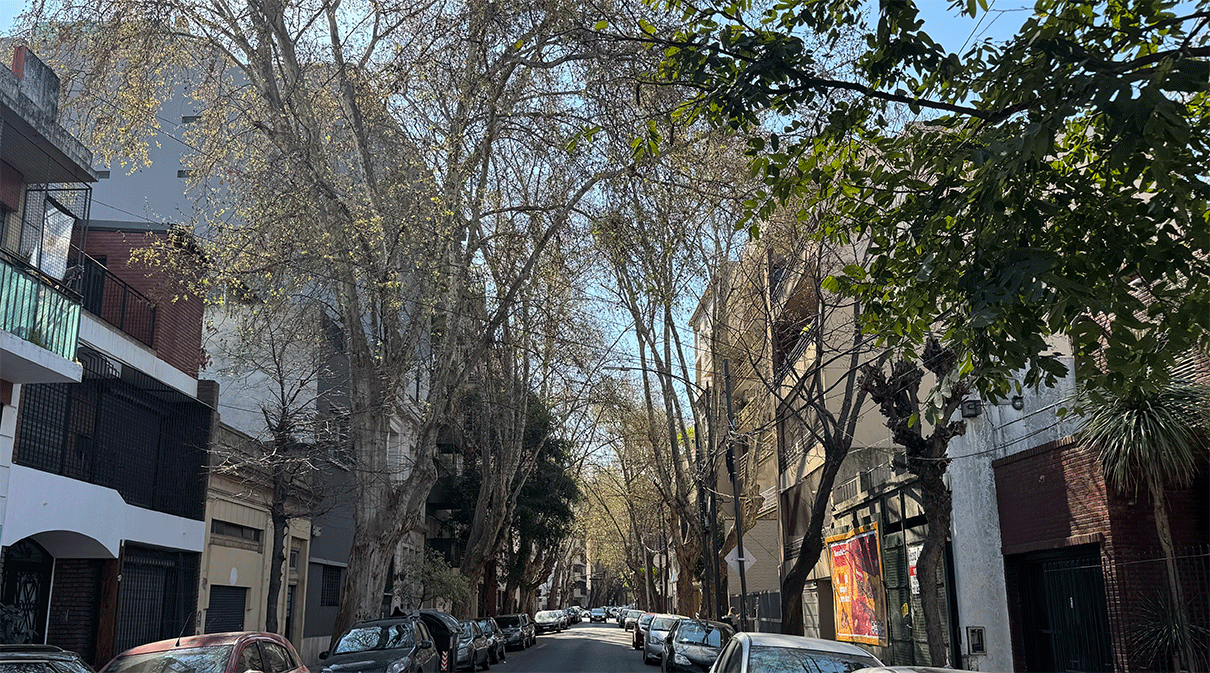 Un mapa interactivo muestra que Casitas Municipales es la zona de Flores con más plátanos y mayor riesgo de alergia.